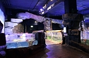 nnz-Leser in Berlin unterwegs: Aqua Dom und Sea Life (Foto: Peter Blei)