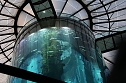 nnz-Leser in Berlin unterwegs: Aqua Dom und Sea Life (Foto: Peter Blei)