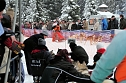 Schlittenhunderennen in Benneckenstein (Foto: Peter Blei)