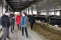 Besuch bei zufriedenen K&uuml;hen (Foto: J. Piper)