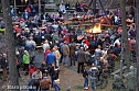 Walpurgis in Ilfeld (Foto: nnz-City Scout Sven G&auml;mkow)
