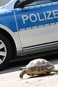 Besuch bei der Polizei (Foto: API)