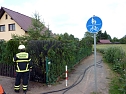 Hecke brannte in Bielen (Foto: Feuerwehr)