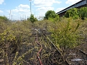 Brand an der Darre (Foto: privat)