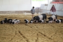 Besuch auf der Forst-Farm (Foto: nnz) Besuch auf der Forst-Farm (Foto: nnz)