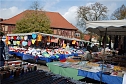 Marktschreier in Nordhausen (Foto: Sven G&auml;mkow)