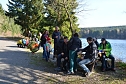 Doppelk&ouml;rner auf Wanderschaft (Foto: A. Richter)