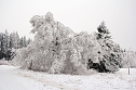 Der Oberharz am Brocken (Foto: Karin Lehmann, Peter Blei) Der Oberharz am Brocken (Foto: Karin Lehmann, Peter Blei)