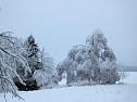 Der Oberharz am Brocken (Foto: Karin Lehmann, Peter Blei) Der Oberharz am Brocken (Foto: Karin Lehmann, Peter Blei)