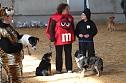 Hundesport und Faschingskostüm (Foto: nnz) Hundesport und Faschingskostüm (Foto: nnz)