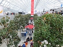 Die Buchmesse in Leipzig (Foto: Karin Lehmann, Peter Blei)