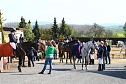 Reitturnier in Immenrode (Foto: Bernd Peter)