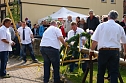 Maibaum in Obergebra gesetzt (Foto: Michael Randel) Maibaum in Obergebra gesetzt (Foto: Michael Randel)