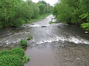 Wasser im Teich und im Park (Foto: nnz)