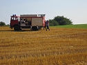Feld brannte (Foto: Berufsfeuerwehr)