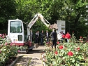 Ortstermin im Rosengarten (Foto: nnz)