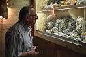 Winfried Wilhelm aus�M&uuml;nchenlohra�betrachtet aufmerksam die Mineralien- und Fossiliensammlung. (Foto: Kurt Frank)
