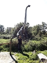 Dinosaurier auf R&uuml;gen (Foto: Karin Lehmann, Peter Blei)