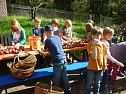 Apfelernte in Harzrigi (Foto: Horizont e.V.)