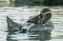 Besuch im Zoo am Meer (Foto: Sven Tetzel)