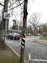 Die Apotheke am Theater versucht sich im "Urban Knitting" und packt ihre B&auml;ume warm ein (Foto: Peter Blei)