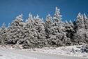 Auf dem Brocken (Foto: Sven Tetzel) Auf dem Brocken (Foto: Sven Tetzel)