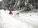 Beim Schlittenhunderennen dabei (Foto: S. Eicke) Beim Schlittenhunderennen dabei (Foto: S. Eicke)