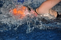 Stadtmeisterschaft im Schwimmen (Foto: privat) Stadtmeisterschaft im Schwimmen (Foto: privat)