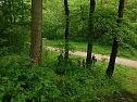 Waldjugendspiele (Foto: privat)