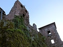 Zu Besuch auf der Burgruine Hohnstein (Foto: Karin Lehmann)