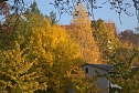 Herbstfarben am Panoramaweg bei Blankenburg (Foto: Peter Blei)