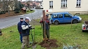 25 B&auml;ume gepflanzt (Foto: Helmut Michel)