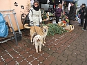 Weihnachtsmarkt im Tierheim (Foto: privat) Weihnachtsmarkt im Tierheim (Foto: privat)
