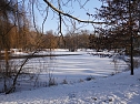 Winter im Nordh&auml;user Stadtpark (Foto: I. Domogalski)