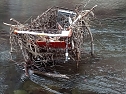Einkaufswagen im Fluss (Foto: Peter Blei) Einkaufswagen im Fluss (Foto: Peter Blei)