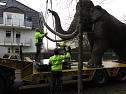Das Mammut ist umgezogen (Foto: nnz)