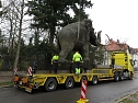 Das Mammut ist umgezogen (Foto: nnz)