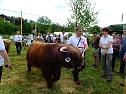 4. Jungtierschau in Neustadt (Foto: Peter Blei)