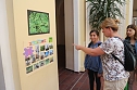 Fotoausstellung im Atrium der Petersbergschule (Foto: Angelo Glashagel)