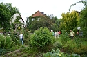 Tag der offenen Gärten im Landkreis Nordhausen (Foto: Diana Moraweck) Tag der offenen Gärten im Landkreis Nordhausen (Foto: Diana Moraweck)