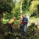 Ordentlich angepackt - acht Mitglieder des Ahornparkvereins schafften den alten Baumriesen aus dem Weg (Foto: Ahornpark Ilfeld e.V.)