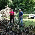 Ordentlich angepackt - acht Mitglieder des Ahornparkvereins schafften den alten Baumriesen aus dem Weg (Foto: Ahornpark Ilfeld e.V.)