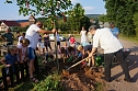 Baum pflanzen in Osterode (Foto: Sandra Witzel)