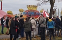 Tierschützer protestieren gegen Zirkus mit Wildtieren (Foto: Nicole Schulz) Tierschützer protestieren gegen Zirkus mit Wildtieren (Foto: Nicole Schulz)
