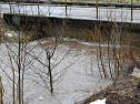 Die Bere f&uuml;hrt Hochwasser (Foto: Peter Blei)