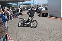Stuntshow mit Mike Auffenberg (Foto: nnz) Stuntshow mit Mike Auffenberg (Foto: nnz)