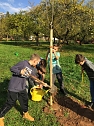 Ein Kind - ein Baum - Pflanzaktion auf dem Landgut Harz Rigi (Foto: Horizont e.V.) Ein Kind - ein Baum - Pflanzaktion auf dem Landgut Harz Rigi (Foto: Horizont e.V.)