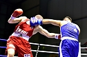 Tolle Leistung der NSV-Boxer (Foto: U. Friebel)