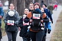 40. Albert-Kuntz-Lauf (Foto: S. Tetzel)