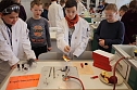 Schüler experimentieren mit Stahlwolle für die Viertklässler (Foto: H. Roeder) Schüler experimentieren mit Stahlwolle für die Viertklässler (Foto: H. Roeder)